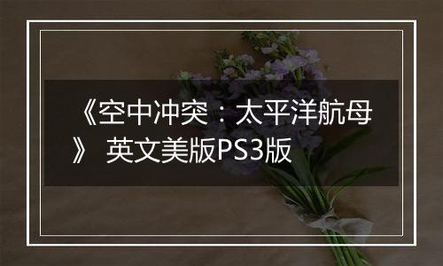 《空中冲突：太平洋航母》 英文美版PS3版