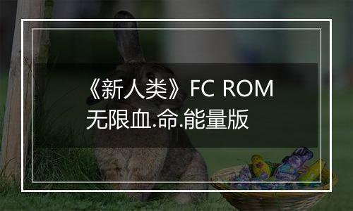 《新人类》FC ROM 无限血.命.能量版