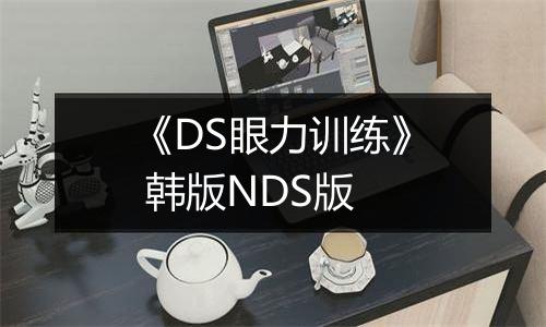 《DS眼力训练》 韩版NDS版