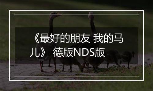 《最好的朋友 我的马儿》 德版NDS版