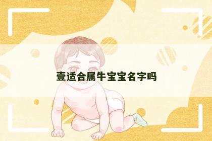 壹适合属牛宝宝名字吗