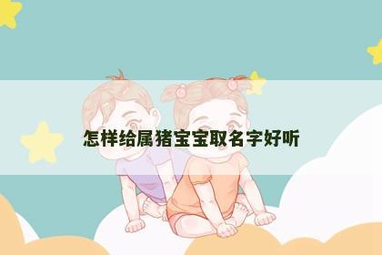 怎样给属猪宝宝取名字好听
