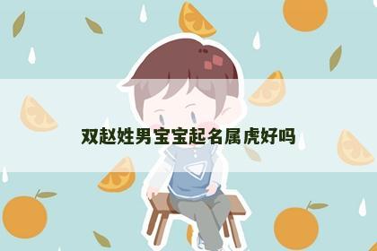 双赵姓男宝宝起名属虎好吗
