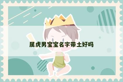 属虎男宝宝名字带土好吗