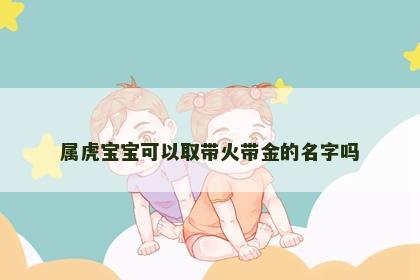 属虎宝宝可以取带火带金的名字吗