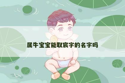 属牛宝宝能取宸字的名字吗
