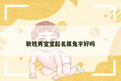 耿姓男宝宝起名属兔字好吗