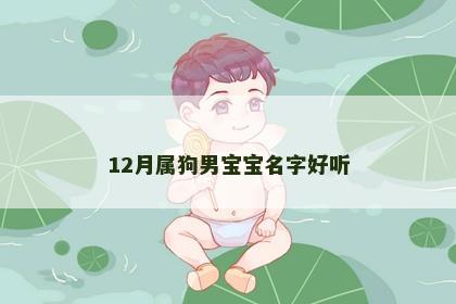 12月属狗男宝宝名字好听