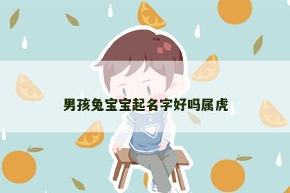男孩兔宝宝起名字好吗属虎