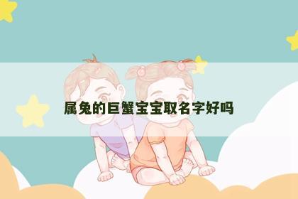 属兔的巨蟹宝宝取名字好吗