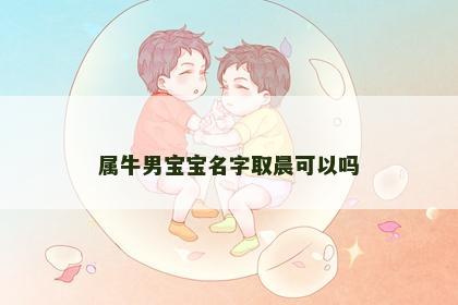 属牛男宝宝名字取晨可以吗
