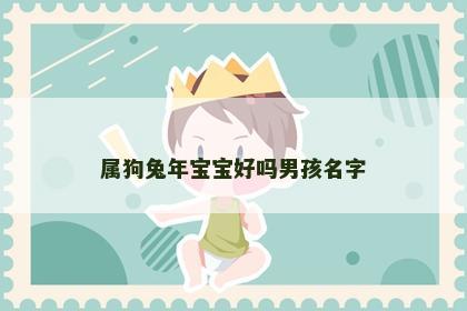 属狗兔年宝宝好吗男孩名字