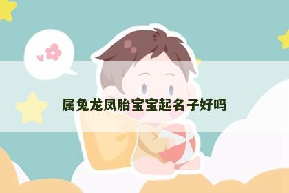 属兔龙凤胎宝宝起名子好吗