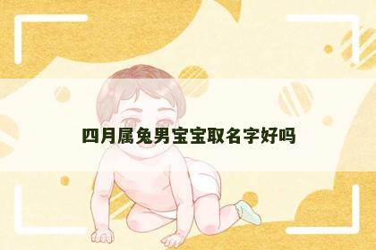 四月属兔男宝宝取名字好吗