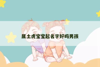 属土虎宝宝起名字好吗男孩