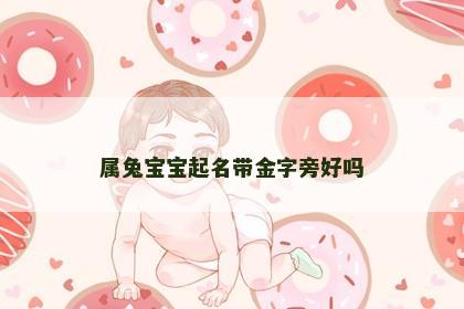 属兔宝宝起名带金字旁好吗