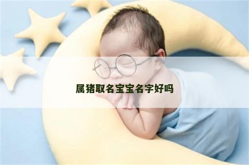 属猪取名宝宝名字好吗