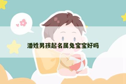 潘姓男孩起名属兔宝宝好吗