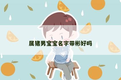 属猪男宝宝名字带彬好吗