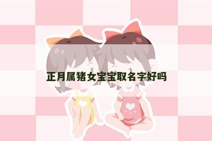 正月属猪女宝宝取名字好吗
