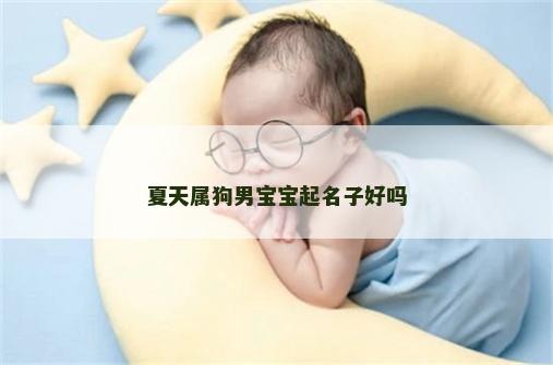 夏天属狗男宝宝起名子好吗