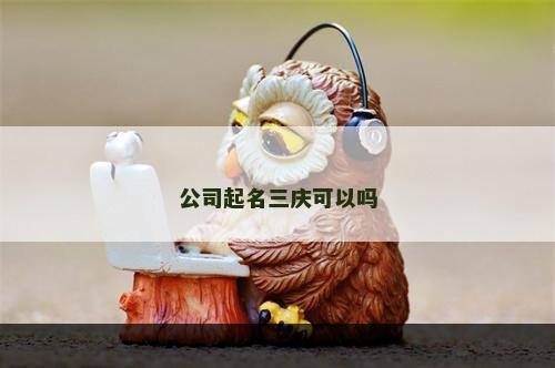 公司起名三庆可以吗