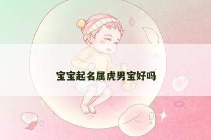 宝宝起名属虎男宝好吗