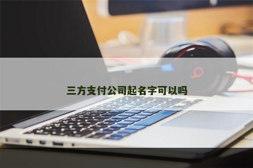 三方支付公司起名字可以吗