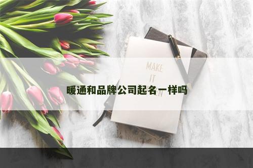 暖通和品牌公司起名一样吗