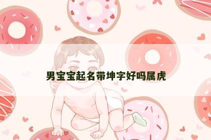 男宝宝起名带坤字好吗属虎