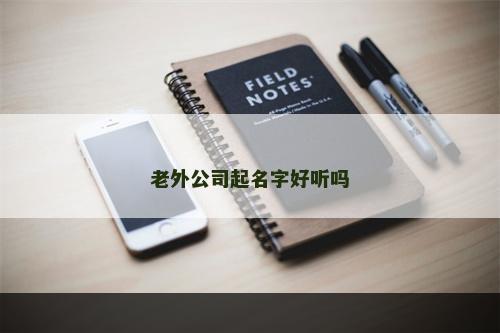 老外公司起名字好听吗
