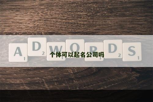 个体可以起名公司吗