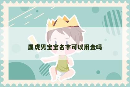 属虎男宝宝名字可以用金吗