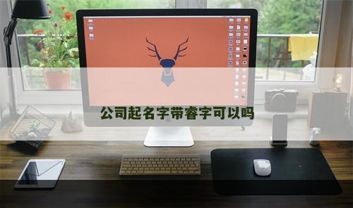 公司起名字带睿字可以吗