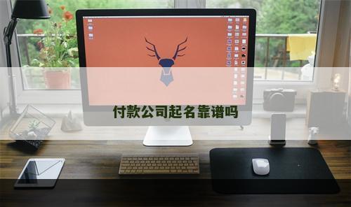 付款公司起名靠谱吗