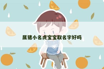 属猪小名虎宝宝取名字好吗