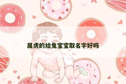 属虎的给兔宝宝取名字好吗