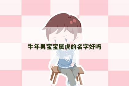 牛年男宝宝属虎的名字好吗