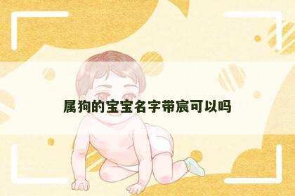 属狗的宝宝名字带宸可以吗