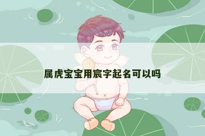 属虎宝宝用宸字起名可以吗