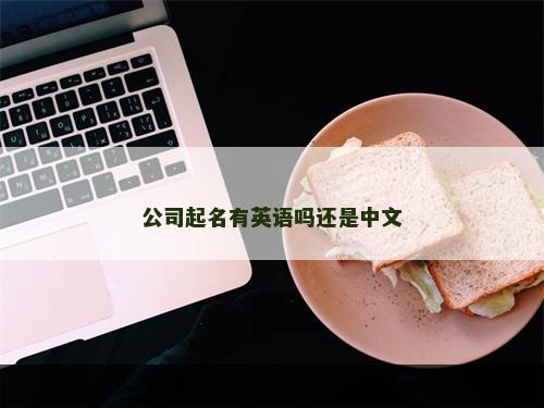 公司起名有英语吗还是中文