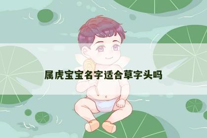 属虎宝宝名字适合草字头吗