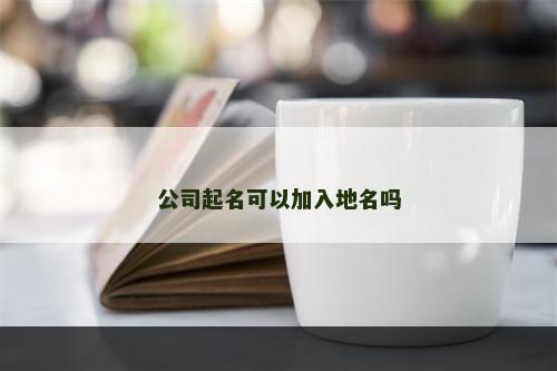 公司起名可以加入地名吗