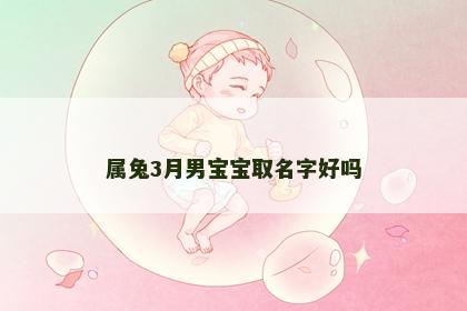 属兔3月男宝宝取名字好吗