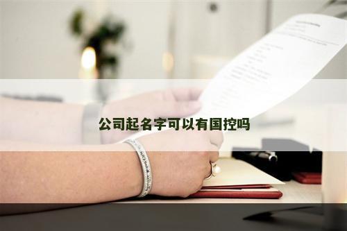 公司起名字可以有国控吗