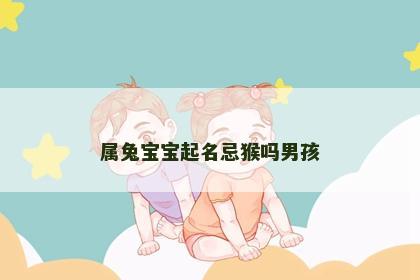 属兔宝宝起名忌猴吗男孩