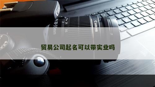 贸易公司起名可以带实业吗