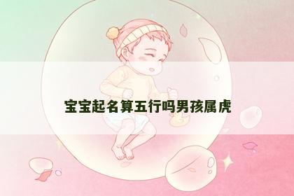 宝宝起名算五行吗男孩属虎