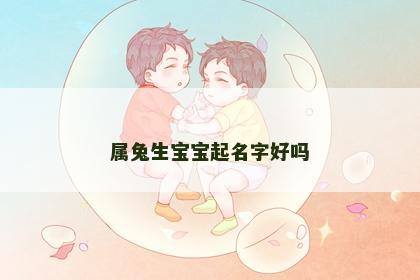 属兔生宝宝起名字好吗