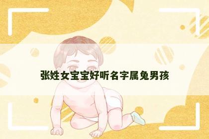 张姓女宝宝好听名字属兔男孩